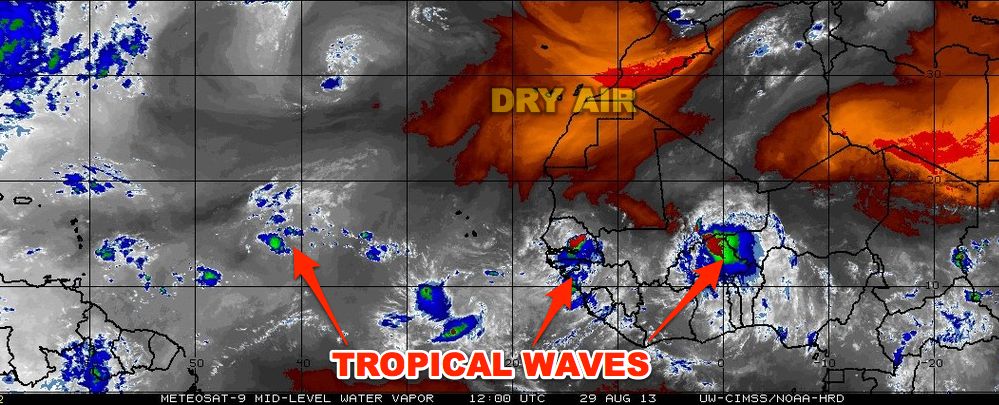Signs of life from the African wave train as September nears